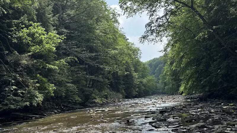 Fallsville Wildlife Area - New Vienna, OH