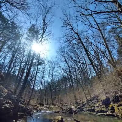 Fallsville Wildlife Area - New Vienna, OH
