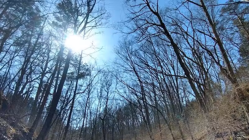 Fallsville Wildlife Area - New Vienna, OH