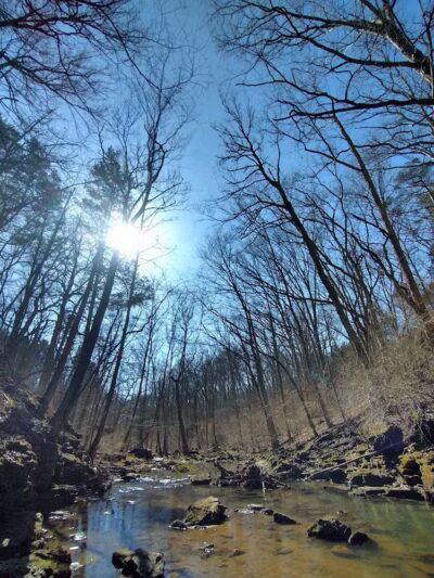 Fallsville Wildlife Area - New Vienna, OH