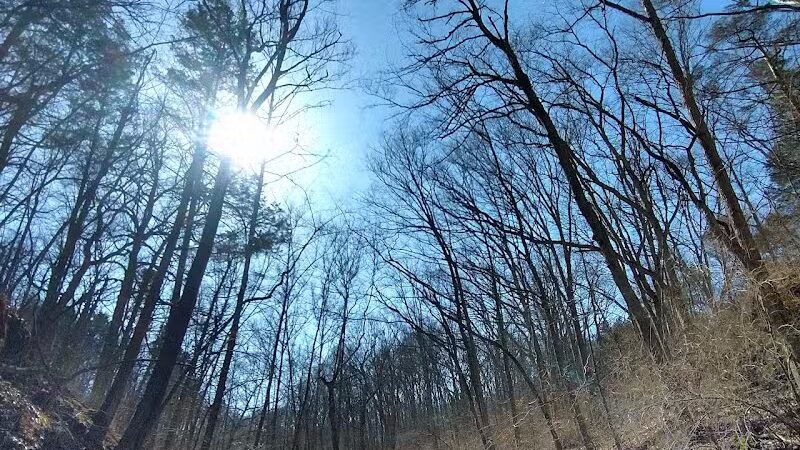 Fallsville Wildlife Area - New Vienna, OH