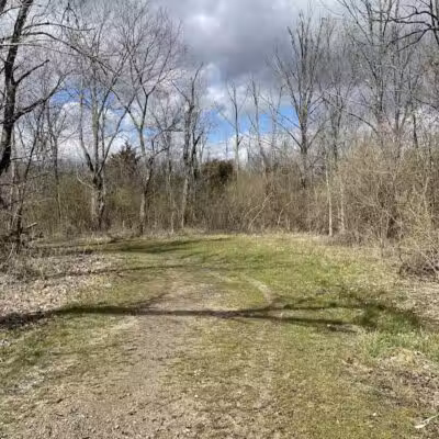 Fallsville Wildlife Area - New Vienna, OH