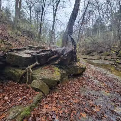Fallsville Wildlife Area - New Vienna, OH