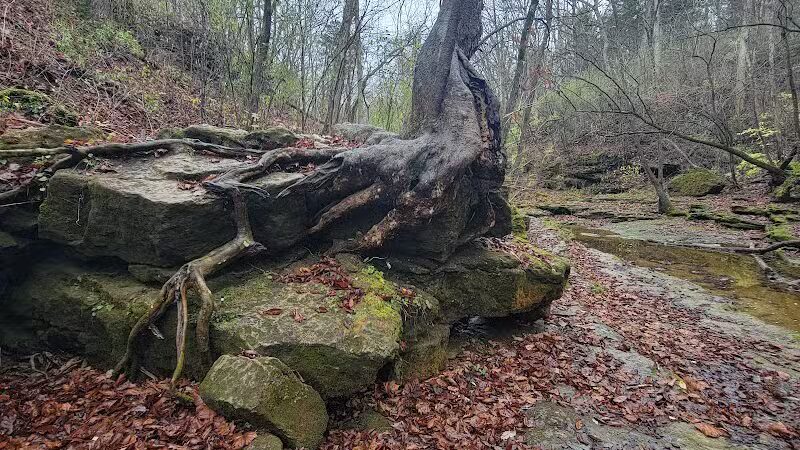 Fallsville Wildlife Area - New Vienna, OH