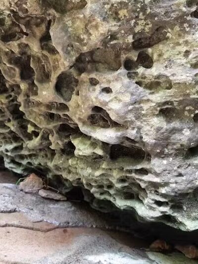 Fallsville Wildlife Area - New Vienna, OH