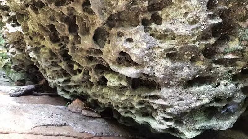 Fallsville Wildlife Area - New Vienna, OH