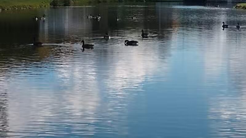 New Waterford Village Park - New Waterford, OH