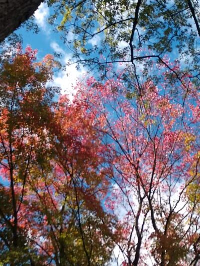 New Waterford Village Park - New Waterford, OH