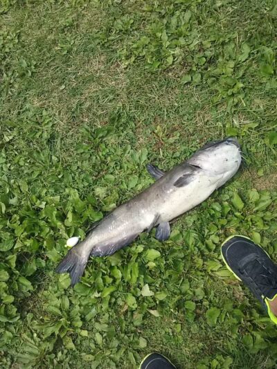 New Waterford Village Park - New Waterford, OH