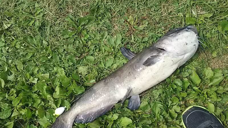 New Waterford Village Park - New Waterford, OH