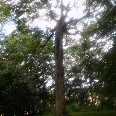 Geller Park - Newark, OH