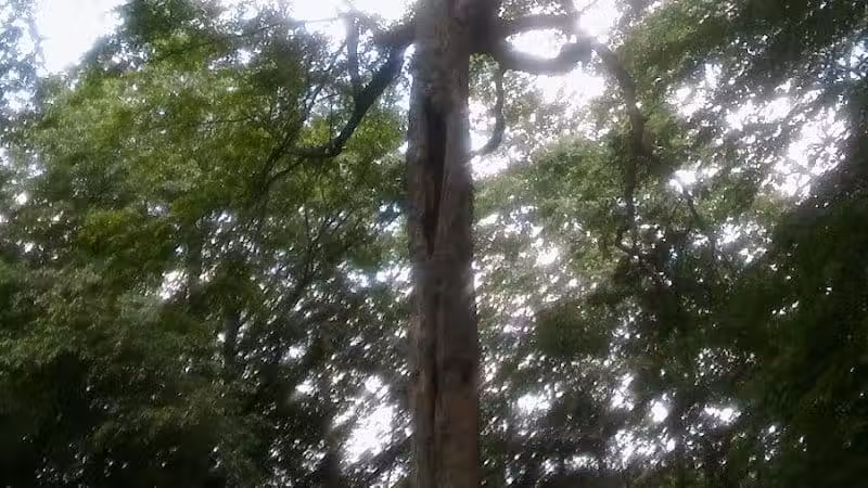 Geller Park - Newark, OH