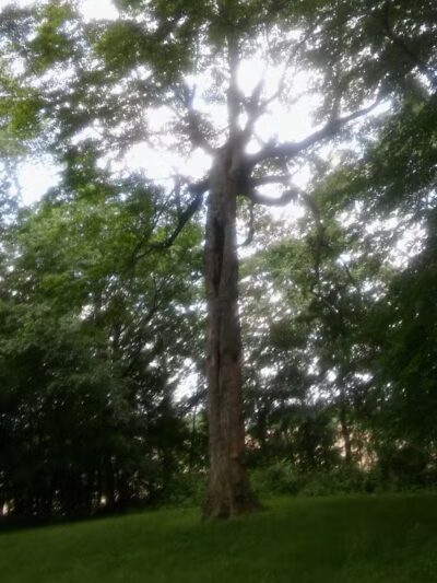 Geller Park - Newark, OH