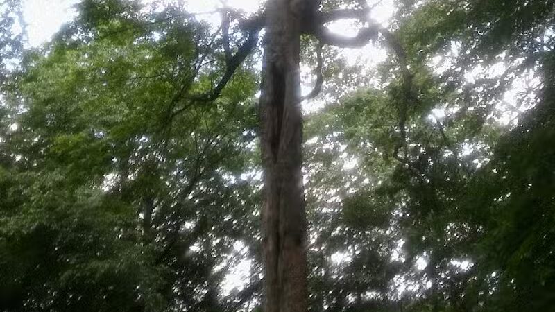 Geller Park - Newark, OH