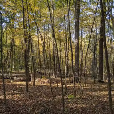Oberland Park - Newbury Township, OH