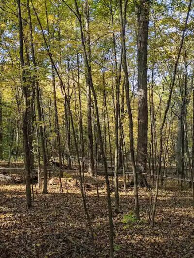 Oberland Park - Newbury Township, OH