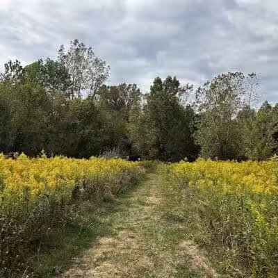 Simonds-Heller Park - Newcomerstown, OH