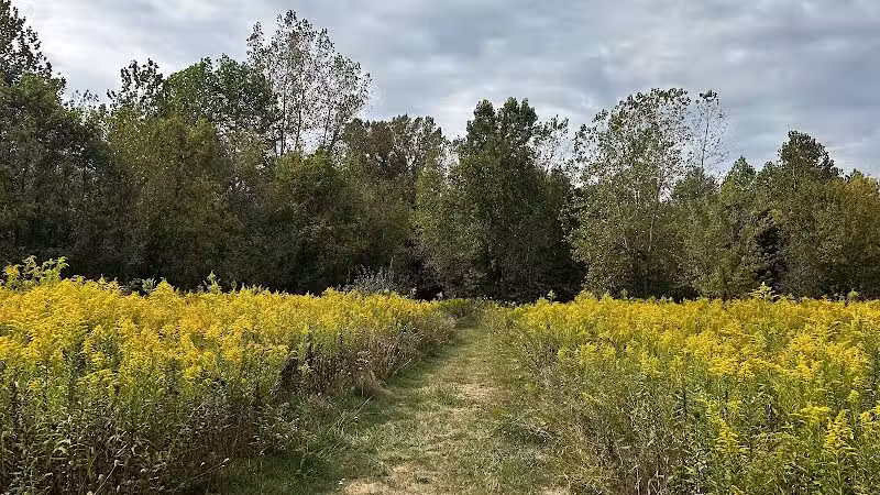 Simonds-Heller Park - Newcomerstown, OH