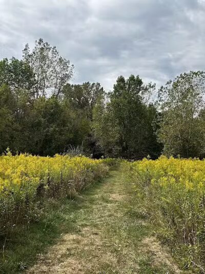 Simonds-Heller Park - Newcomerstown, OH