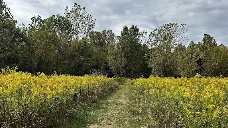 Simonds-Heller Park - Newcomerstown, OH