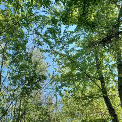 Simonds-Heller Park - Newcomerstown, OH