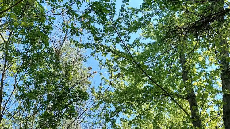 Simonds-Heller Park - Newcomerstown, OH