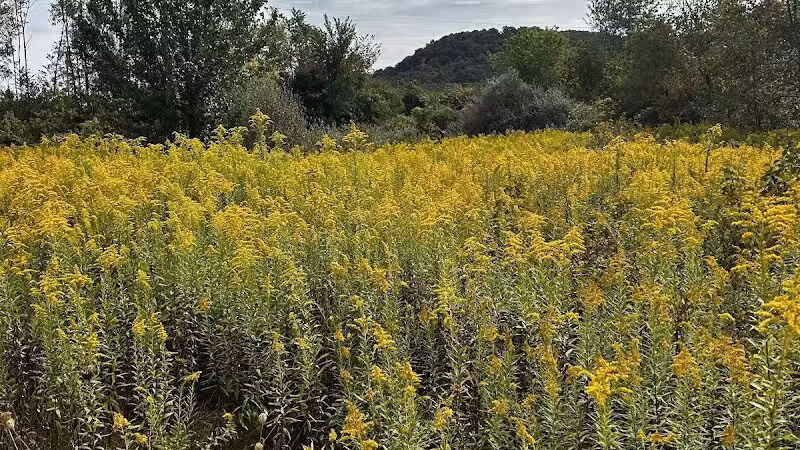 Simonds-Heller Park - Newcomerstown, OH
