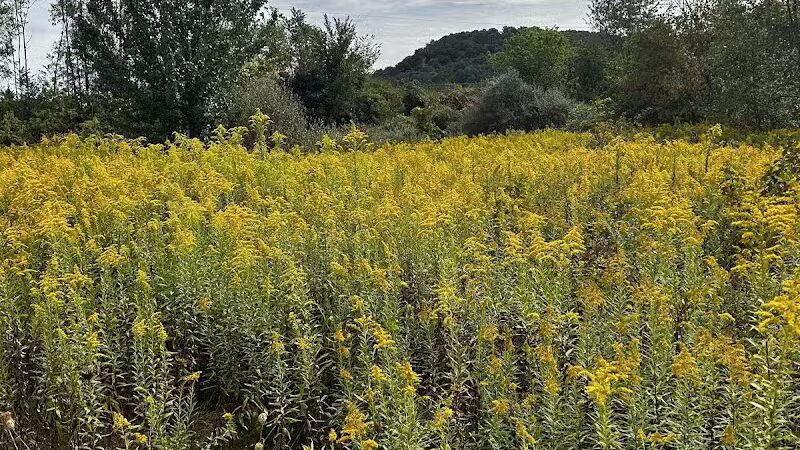 Simonds-Heller Park - Newcomerstown, OH