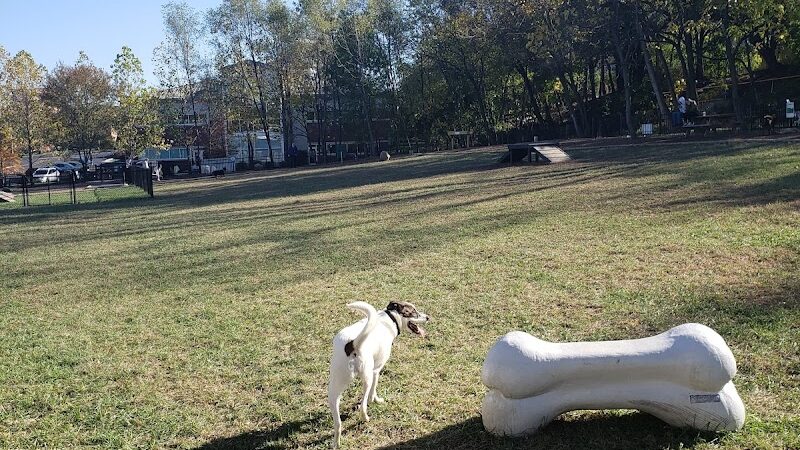 East Row Dog Park - Newport, KY