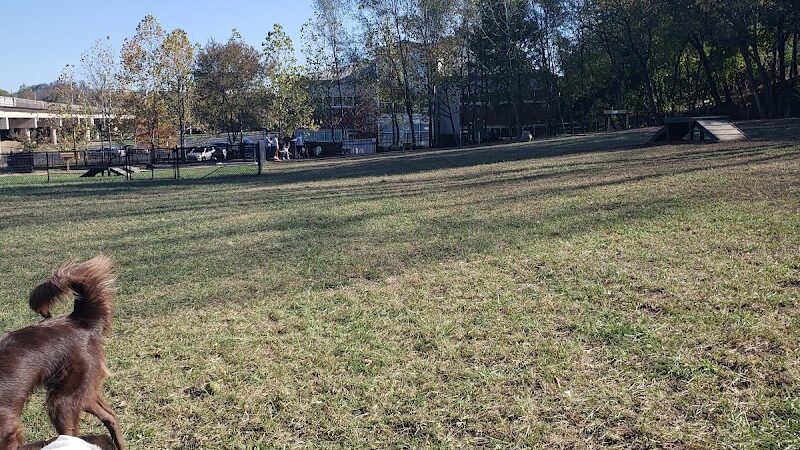 East Row Dog Park - Newport, KY