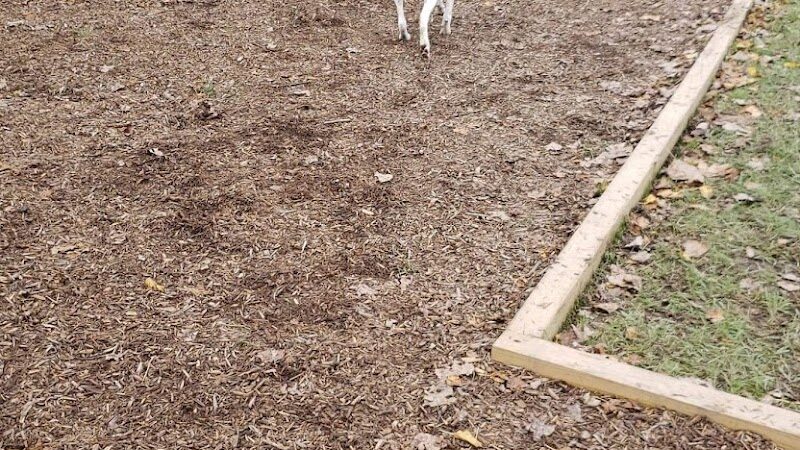 East Row Dog Park - Newport, KY