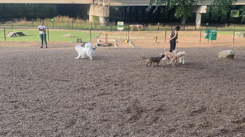 Newport Dog Park - Newport, KY