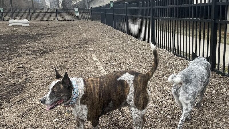 Newport Dog Park - Newport, KY