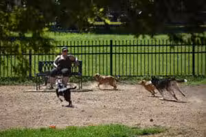 Newport Dog Park - Newport, KY