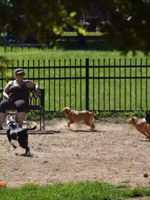 Newport Dog Park - Newport, KY