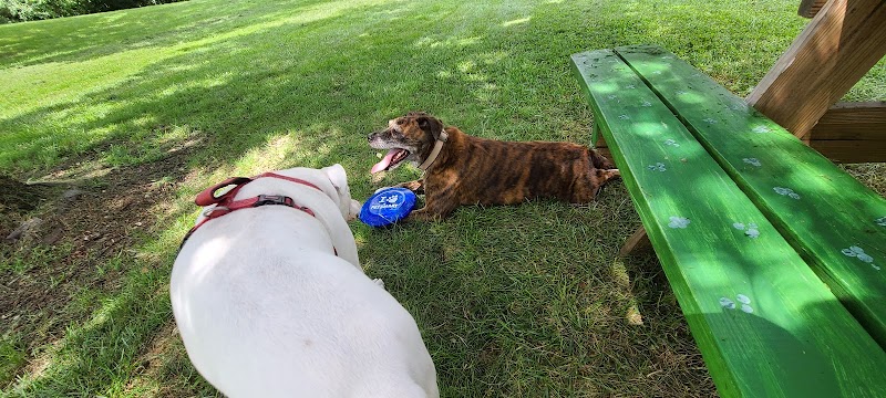 Newport Dog Park - Newport, KY