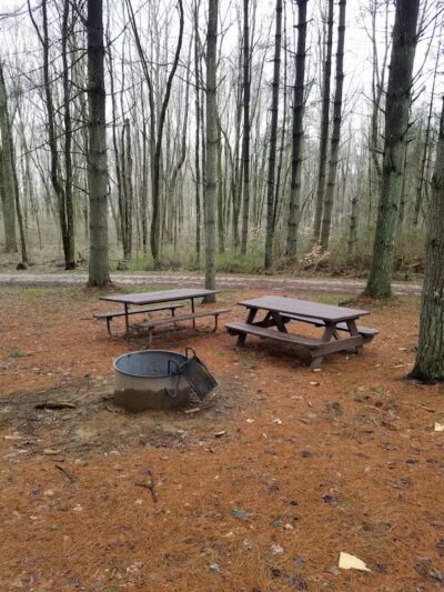 Kinderhook Horse Trail - Newport, OH