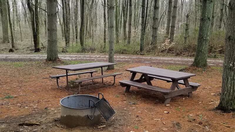 Kinderhook Horse Trail - Newport, OH