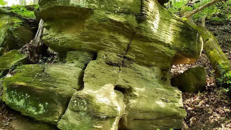 Kinderhook Horse Trail - Newport, OH