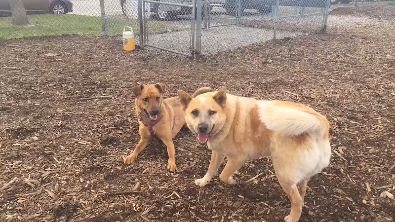 Newport Dog Park - Newport, RI