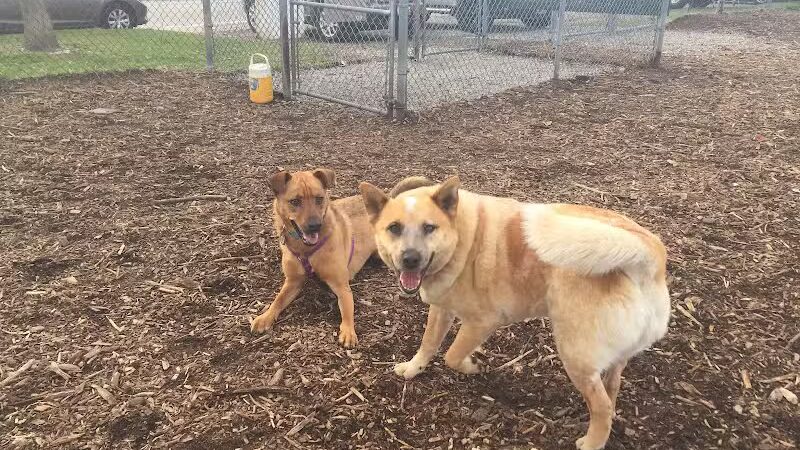 Newport Dog Park - Newport, RI