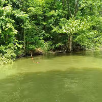 Berlin Lake Wildlife Area - North Benton, OH