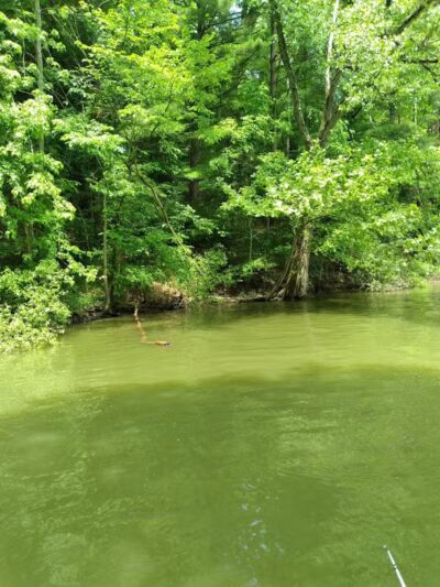 Berlin Lake Wildlife Area - North Benton, OH