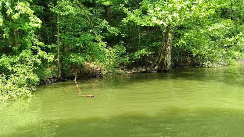 Berlin Lake Wildlife Area - North Benton, OH