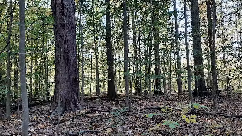 Berlin Lake Wildlife Area - North Benton, OH