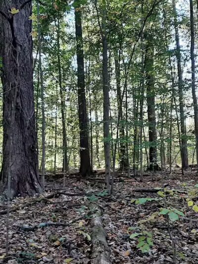 Berlin Lake Wildlife Area - North Benton, OH