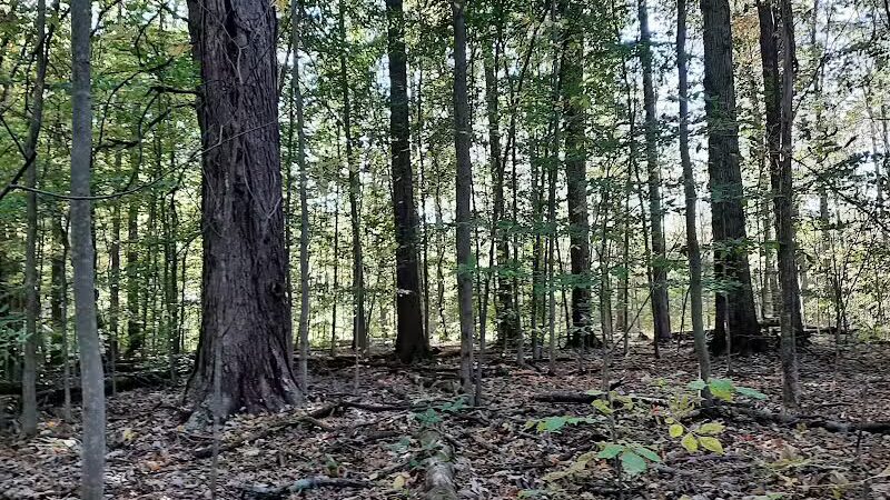 Berlin Lake Wildlife Area - North Benton, OH