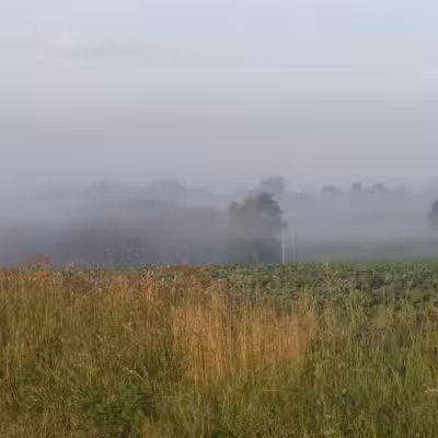 Berlin Lake Wildlife Area - North Benton, OH