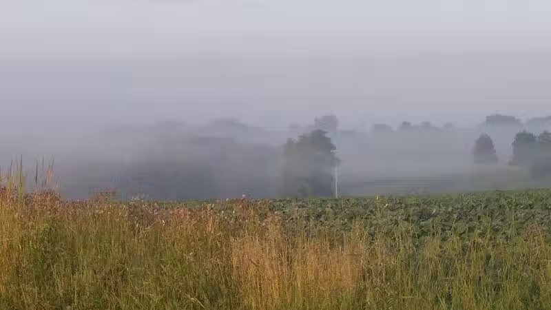 Berlin Lake Wildlife Area - North Benton, OH