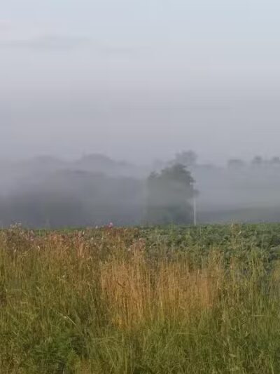 Berlin Lake Wildlife Area - North Benton, OH